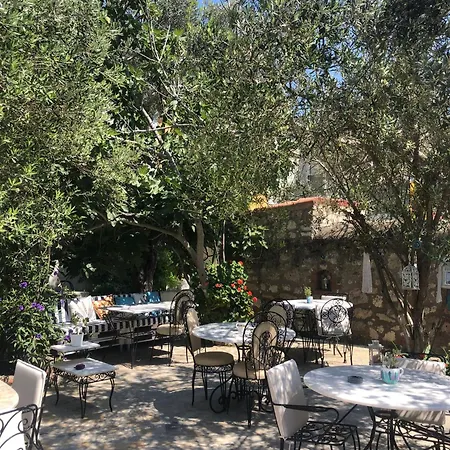 卡基尔先生住宿加早餐旅馆 住宿加早餐酒店 阿拉恰特