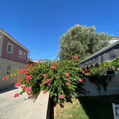 卡基尔先生住宿加早餐旅馆 住宿加早餐酒店