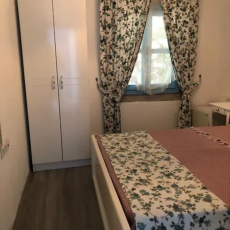 卡基尔先生住宿加早餐旅馆 3* 阿拉恰特