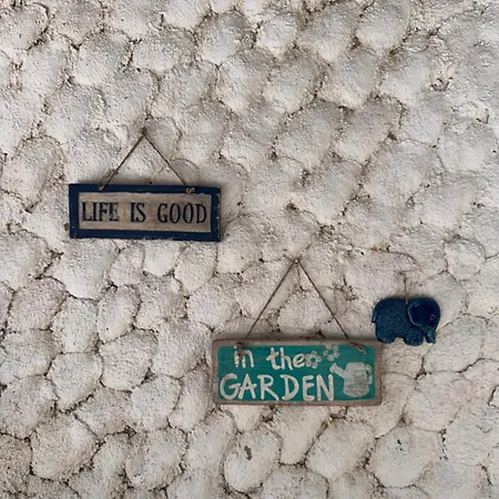 卡基尔先生住宿加早餐旅馆 阿拉恰特