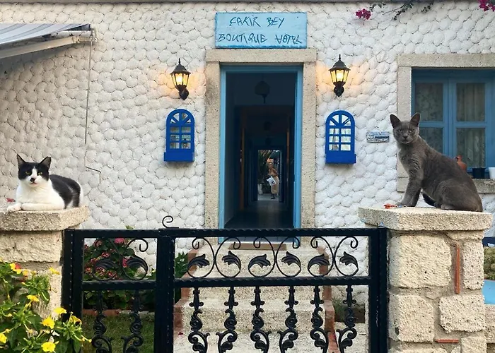 çakir Bey Oda ve Kahvaltı