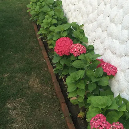 çakir Bey Couette-café